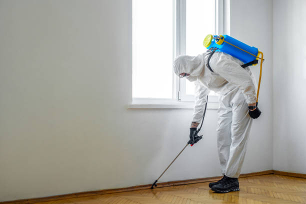 Best Insect Control  in Lake Lakengren, OH