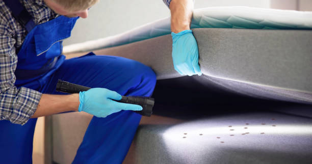 Best Best Pest Control Near Me  in Lake Lakengren, OH